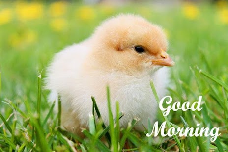How to download Good Morning Images 4 lastet apk for android