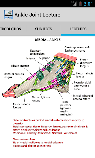 Anatomy of the Ankle Joint