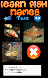 Learn Fish Names Screenshots 15
