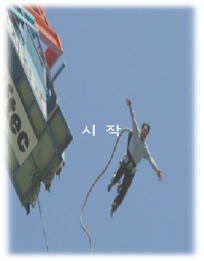 새 피하기 poster 1