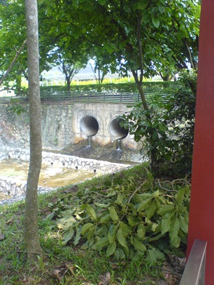 DSC01116