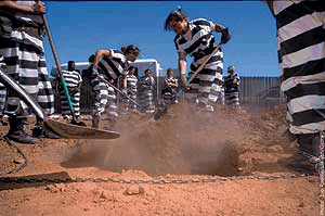 [Equipes[2].gif]