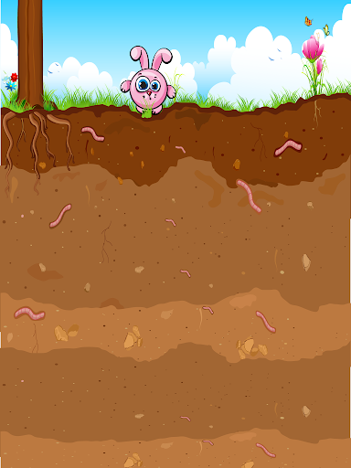 Bunny Dig