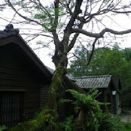 五霸焦糖包心粉圓冰