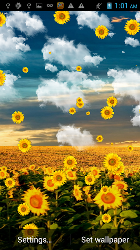 Sunflower Falling Wallpaper