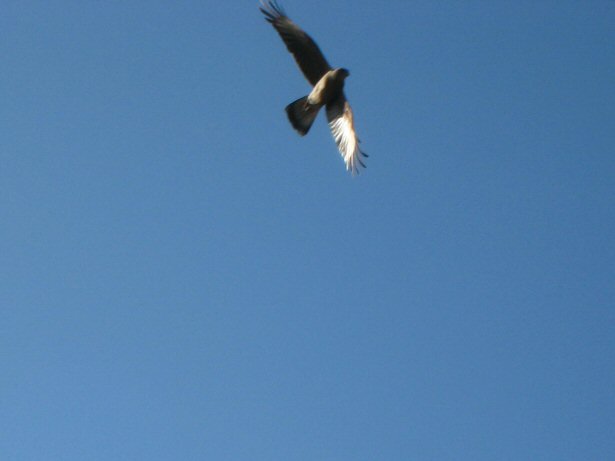 [IMG_8727.JPG]