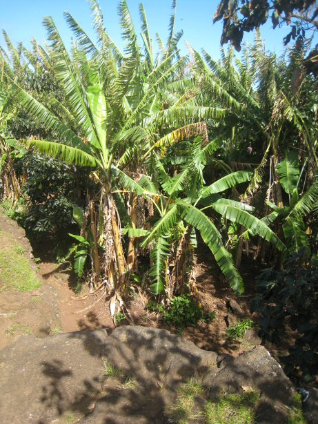 [IMG_8854.JPG]