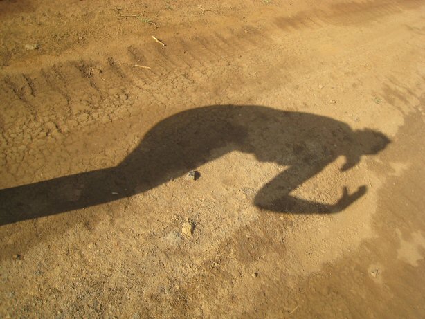 [IMG_8736.JPG]