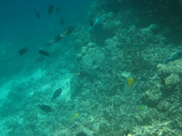 [IMG_0005.JPG]