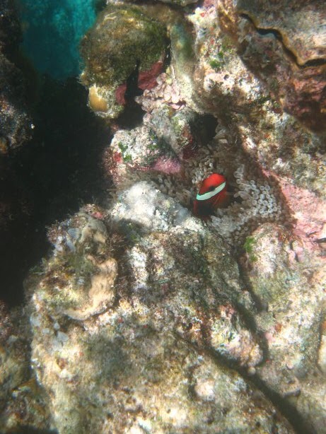 [IMG_0014.JPG]