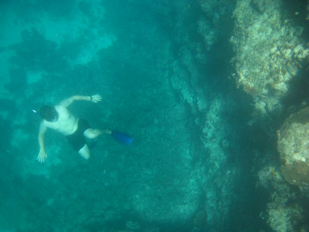 [IMG_0008.JPG]