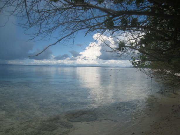 [IMG_0037.JPG]