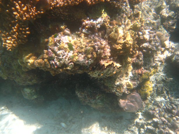 [IMG_9994.JPG]