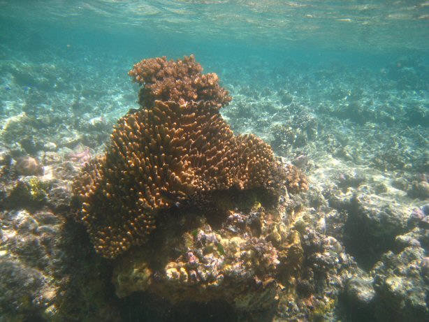 [IMG_9995.JPG]