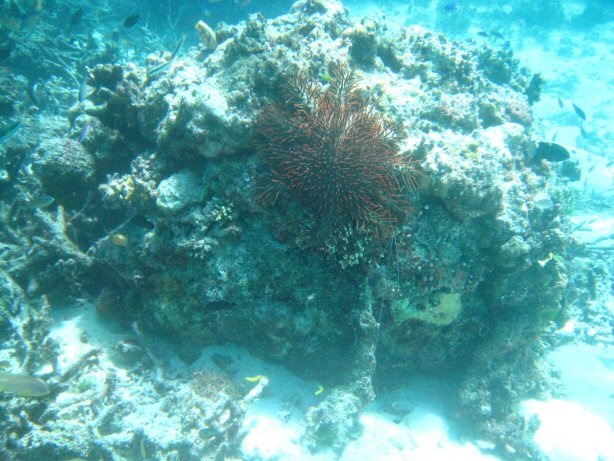 [IMG_9974.JPG]