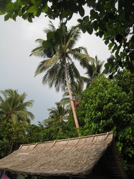 [IMG_0408.JPG]