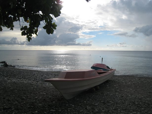 [IMG_0404.JPG]