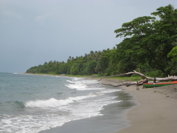 [IMG_0558.JPG]