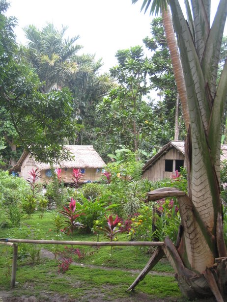 [IMG_0564.jpg]