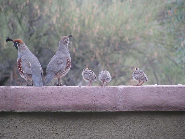 [Dad Mom and brewd[4].jpg]