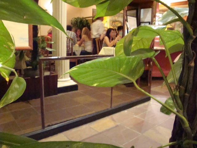 [DSC000564.jpg]