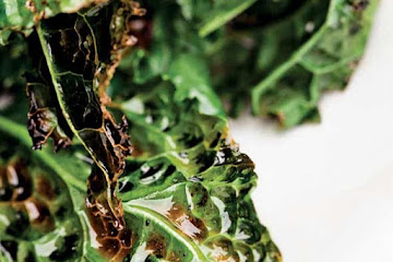 Grilled Kale