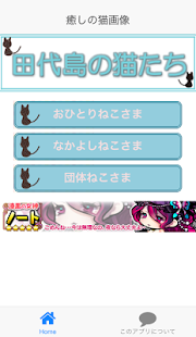 Download Cats of Tashirojima of Japan APK for Android