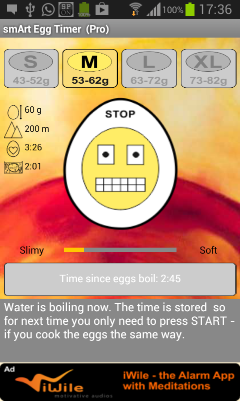 smArt Egg Timer (Pro) Screen 2