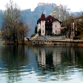  glow* by Ana Zec - Uncategorized All Uncategorized