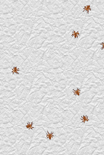 Spiders Live Wallpaper