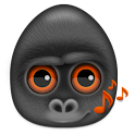 Jungle Quest2