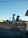 Nampa Rooster