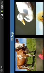 Free Download 동물소리 (우리 아가를 위한/Animal Sound) APK