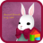 Animal firends(lovely rabbit) mobile app icon
