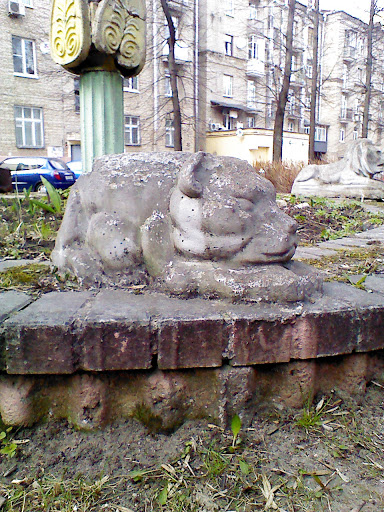 Stone Cat