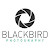 BlackBird Photography