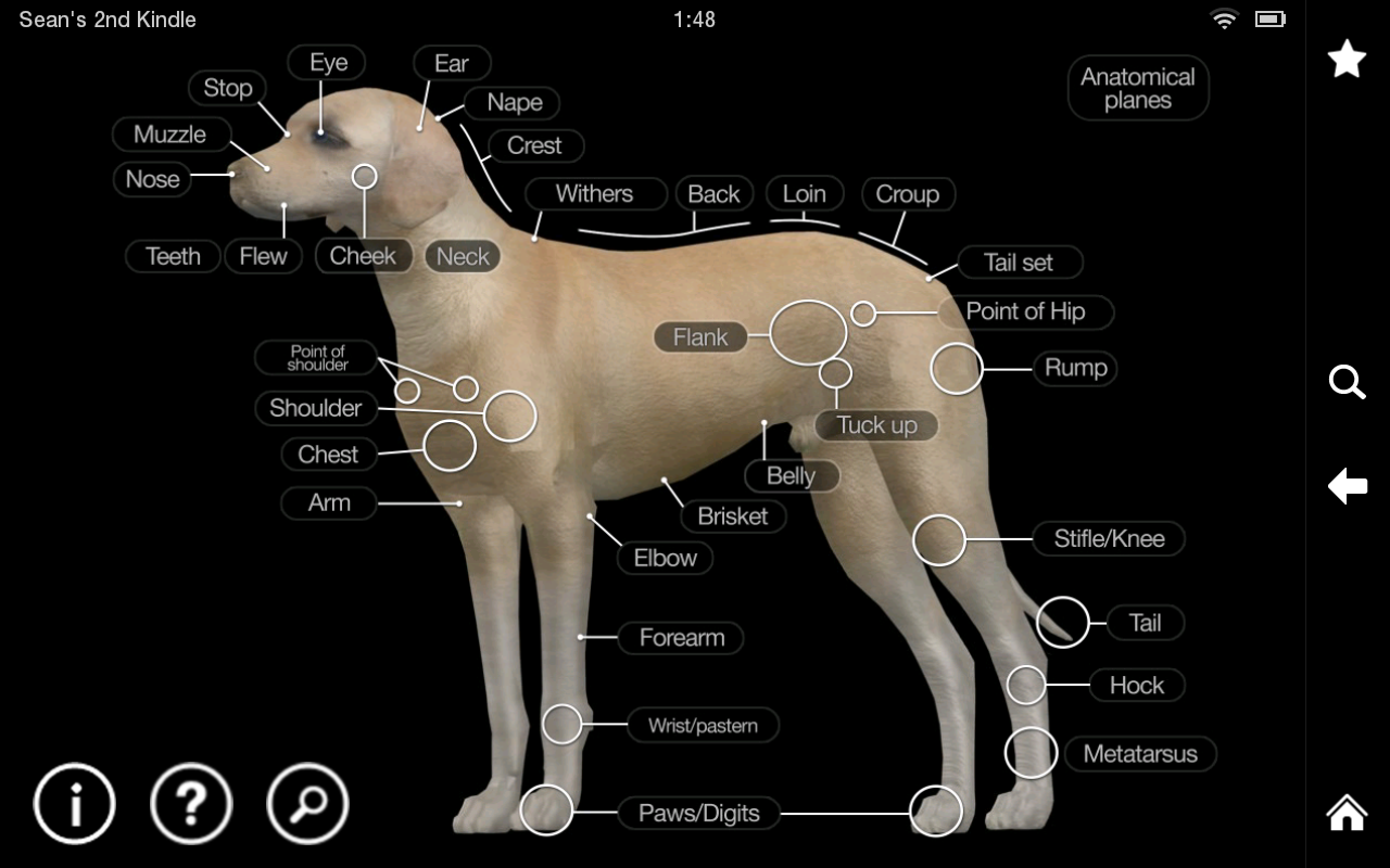Dog Anatomy: Canine 3D - Android Apps on Google Play