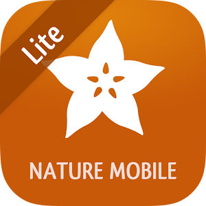 Exotic Fruits & Vegetables 2 L Varies with device