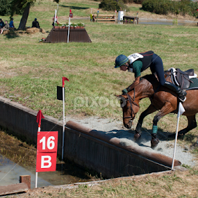 by Denise Johnson - Uncategorized All Uncategorized