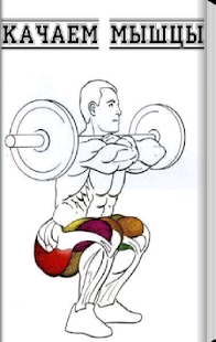 Free Качаем мышцы APK for Android