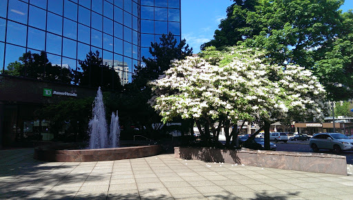 Bellevue Symetra Fountain