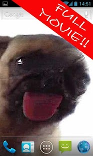 Android application Dog Licker Live Wallpaper LWP screenshot