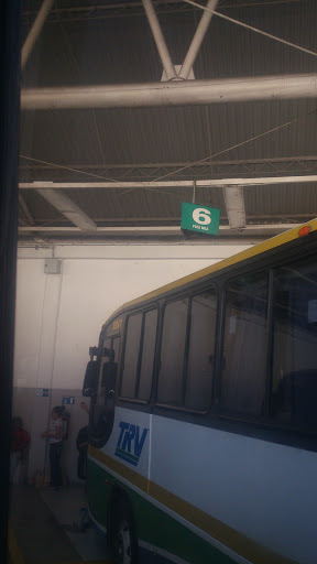 Terminal De Autobuses De Cardel