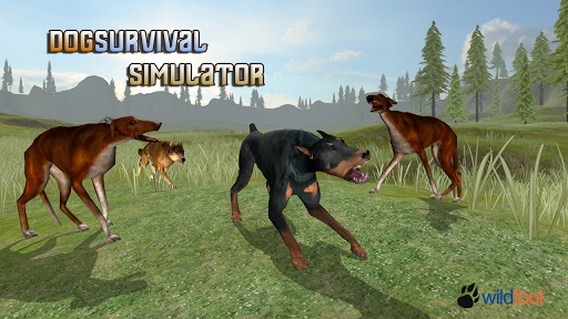免費下載動作APP|Dog Survival Simulator app開箱文|APP開箱王