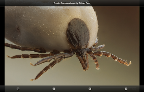 smart Microscope Lite Screenshots 10