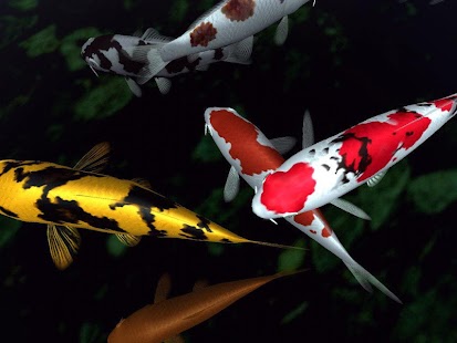 Fancy Koi Fish Live Wallpaper Screenshots 1