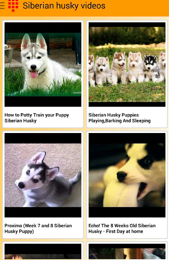 【免費娛樂App】Happy Puppies Videos-APP點子