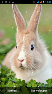 How to mod Bunny Live Wallpaper patch 1.3 apk for android