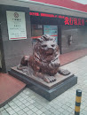广州银行莱恩猫