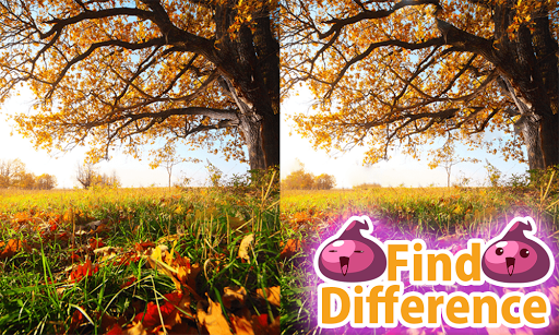 Find the Difference 15